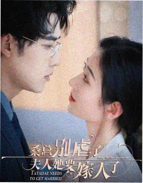 灯火可亲 电视剧观看在线